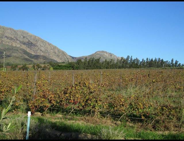 FARM FOR SALE IN WELLINGTON